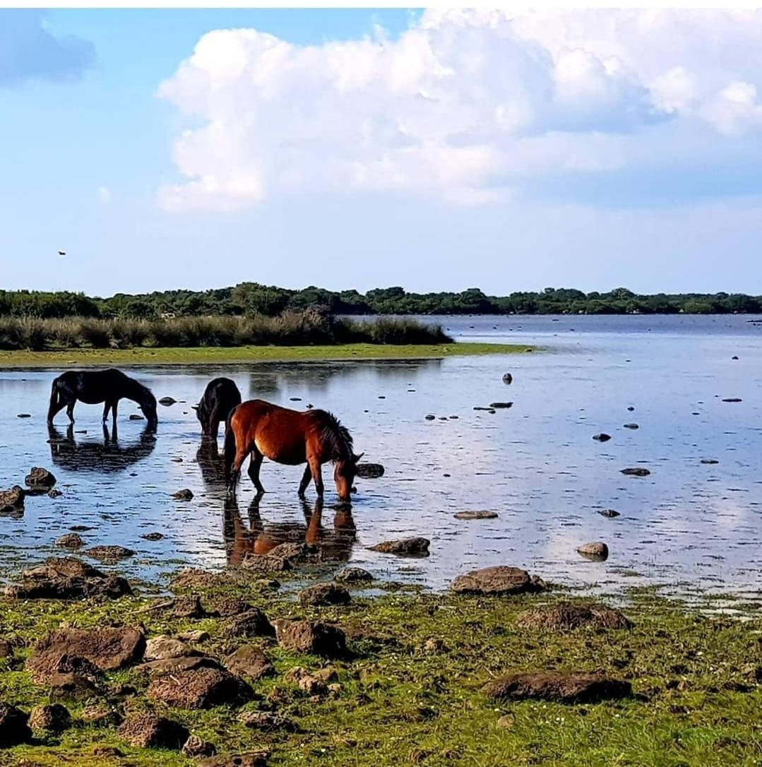 Casa Susanna Rural Sardinia Sini 외부 사진
